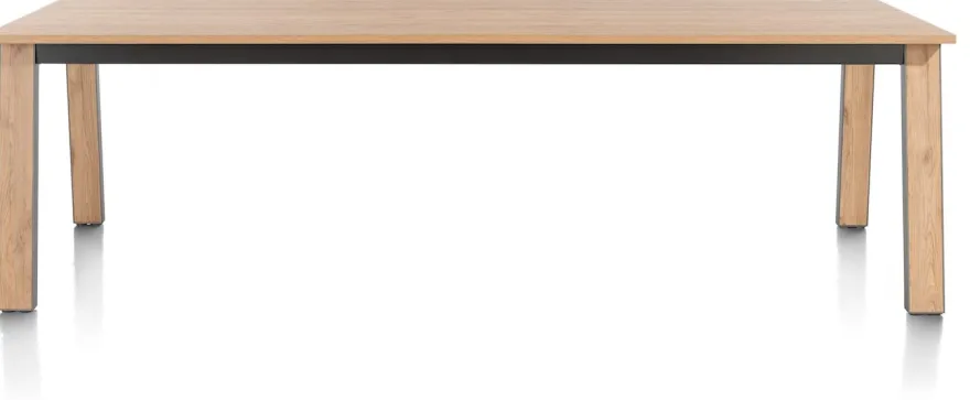 Delmonte, eetkamertafel 230 x 100 cm