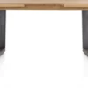 Metalox, uitschuiftafel 160 (+ 50) x 100 cm - zonder rand boomschors + V-vorm metalen poot