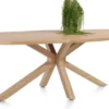 Nyborg, eetkamertafel 210 x 110 cm - Deens ovaal - centrale poot hout