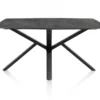 Palace, eetkamertafel 210 x 110 cm - centrale poot - Antraciet