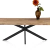 Tifton, eetkamertafel +/-90/100 x 210 cm